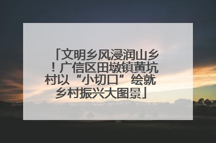 文明乡风浸润山乡！广信区田墩镇黄坑村以“小切口”绘就乡村振兴大图景